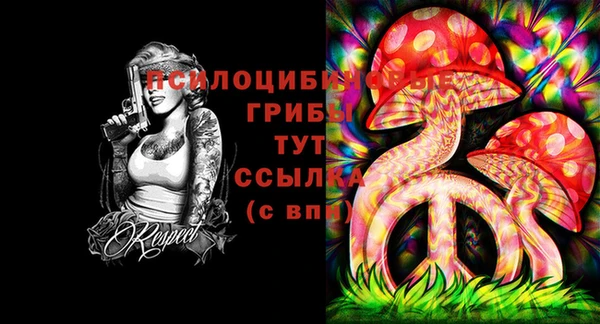 ALPHA-PVP Абинск
