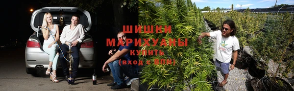 спайс Абаза