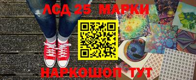 стафф Кингисепп