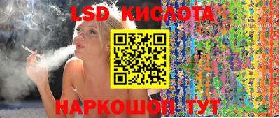 стафф Кингисепп