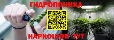 молекула духа Кинель