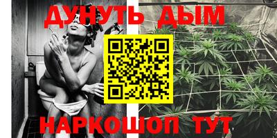 стафф Кингисепп