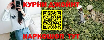 стафф Кингисепп