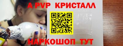 стафф Кингисепп