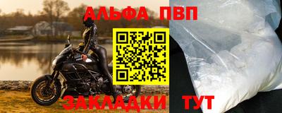 стафф Кингисепп