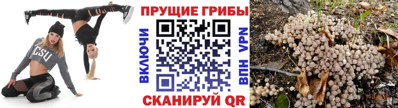 Галлюциногенные грибы мицелий  Черемхово 